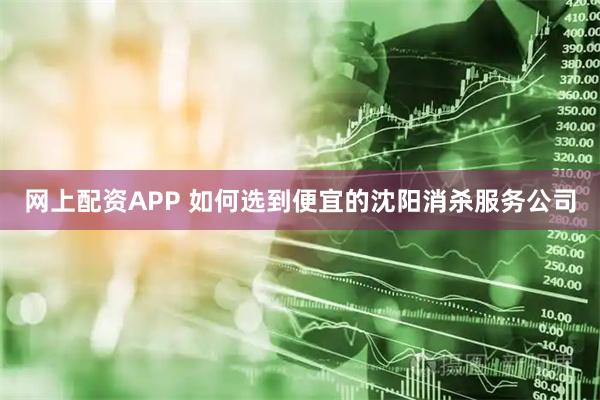 网上配资APP 如何选到便宜的沈阳消杀服务公司