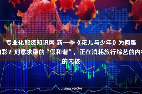 专业化配资知识网 新一季《花儿与少年》为何难出彩？刻意求稳的“假和谐”，正在消耗旅行综艺的内核